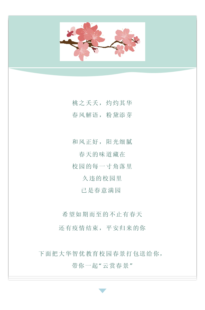 -5e7d5ce0-4c48-4519-b7cc-69abac10c662_01.jpg