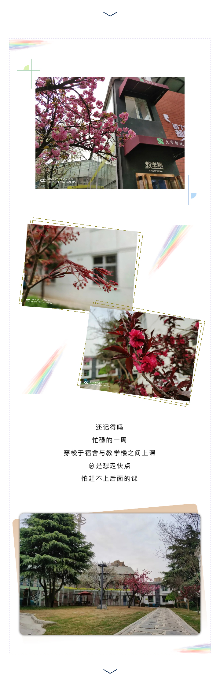 -5e7d5ce0-4c48-4519-b7cc-69abac10c662_05.jpg